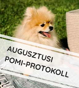 Augusztusi pomi-protokoll - Így vészelhetitek át a nyár végét a pomiddal!